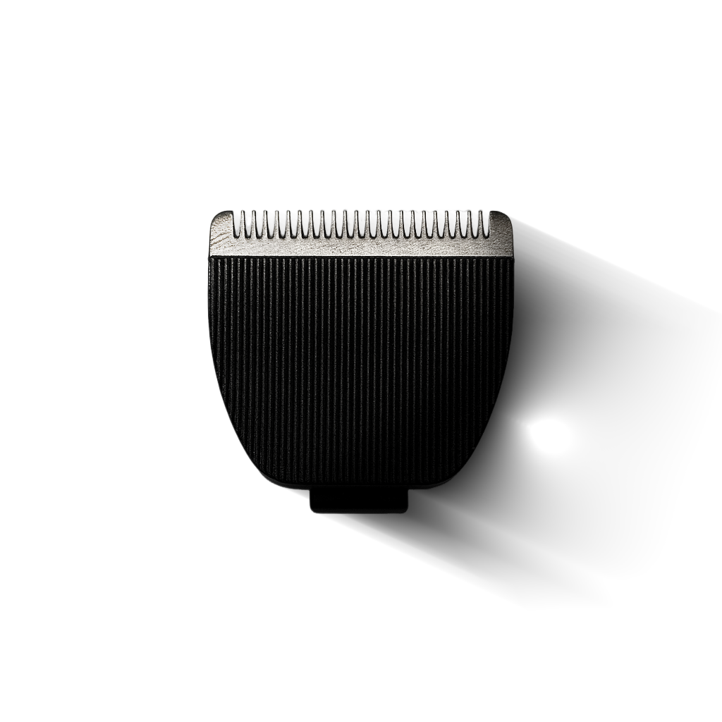 file_2025-08-12_00.03.25_1.png